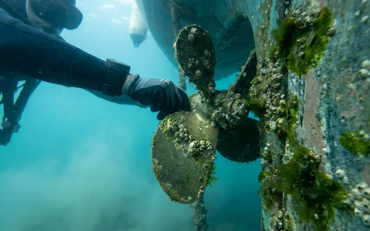 Barnacles and slime coating a sailboat propeller and nearby hull underwater