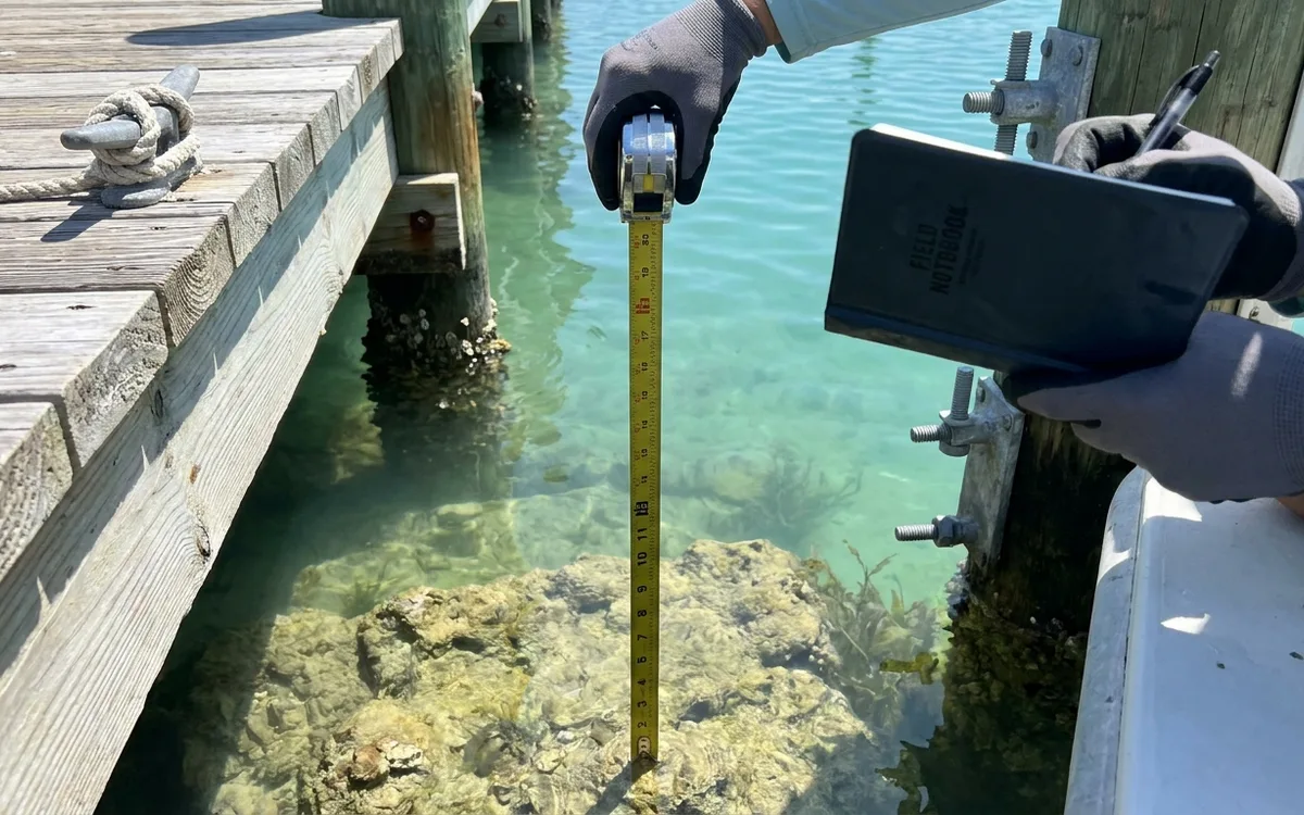Installer measures low-tide depth to the limestone seabed at the planned boat-lift position.